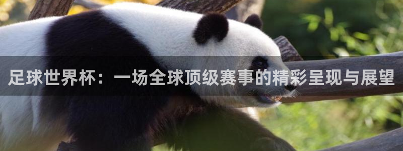 168全国统一开奖记录