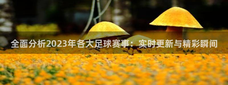 168全国开奖官网查询