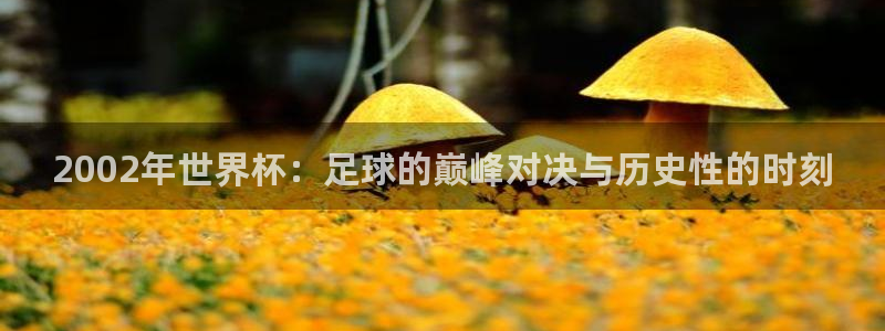 168全国开奖网官网