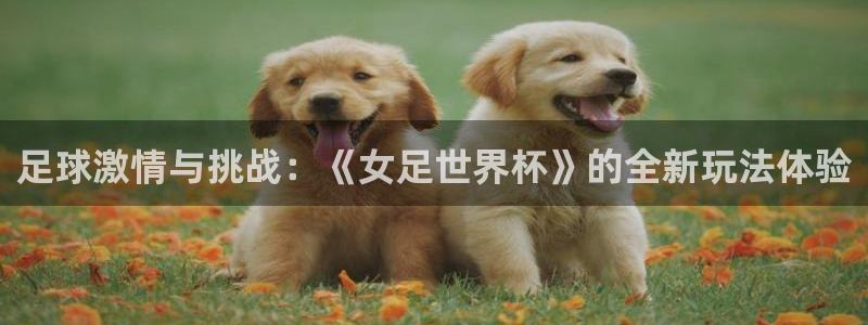 168全国开奖网入口