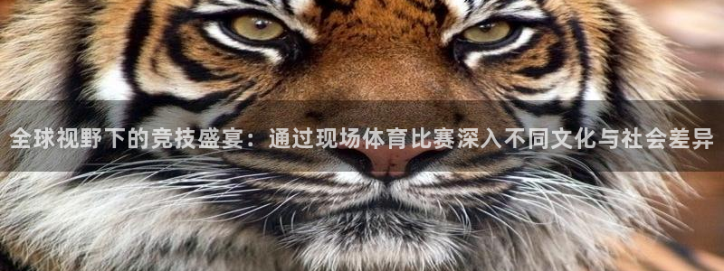 168全国统一开奖网址下载